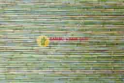 Bambu Çubukları