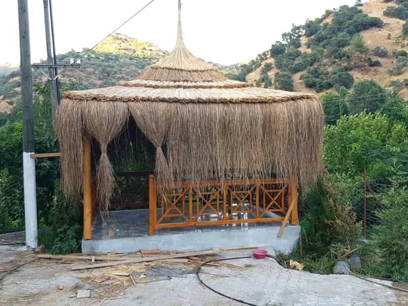 Saz Dekorasyon Ugylama ve Görsellerimizi Keşfedin