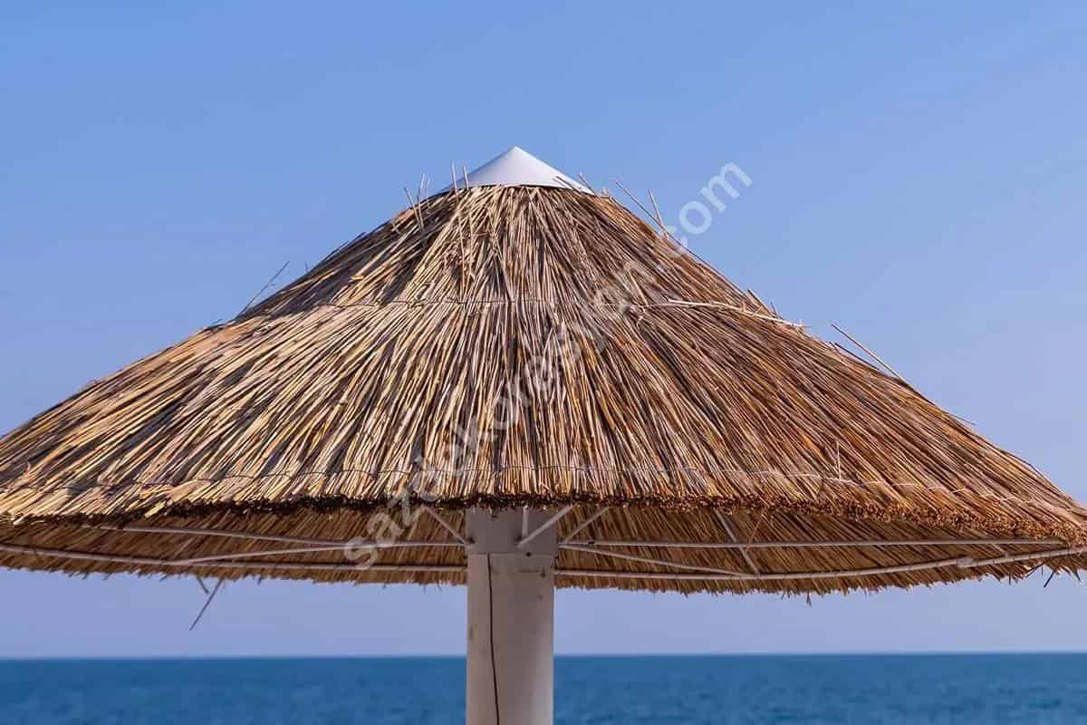Kamış Şemsiye