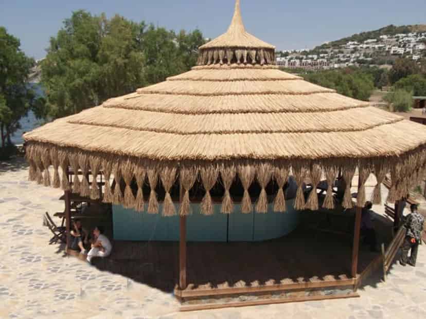 Saz Dekorasyon Ugylama ve Görsellerimizi Keşfedin