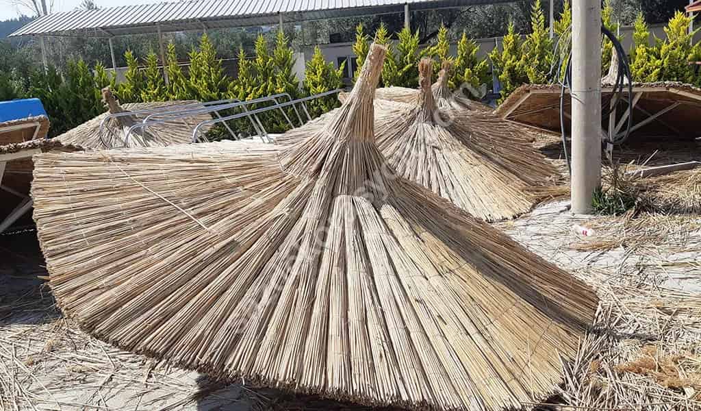 Bambu Şemsiye