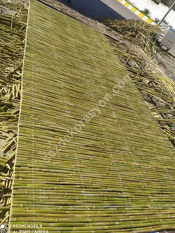 Bambu Bahçe Çiti