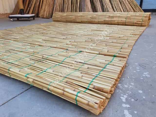Kabuklu Kamış