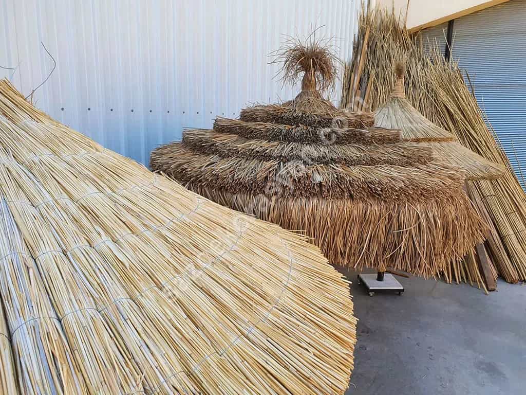 Saz Şemsiye