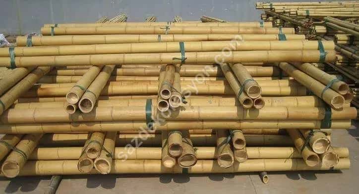 Bambu Çubukları