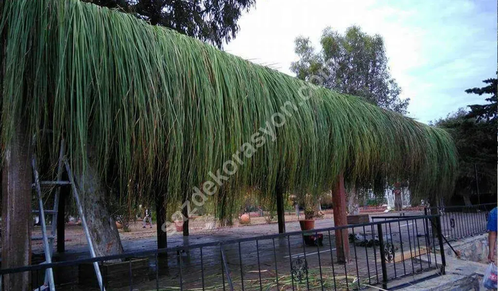 Doğal