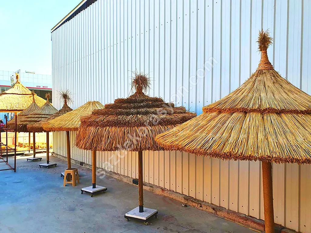 Bambu