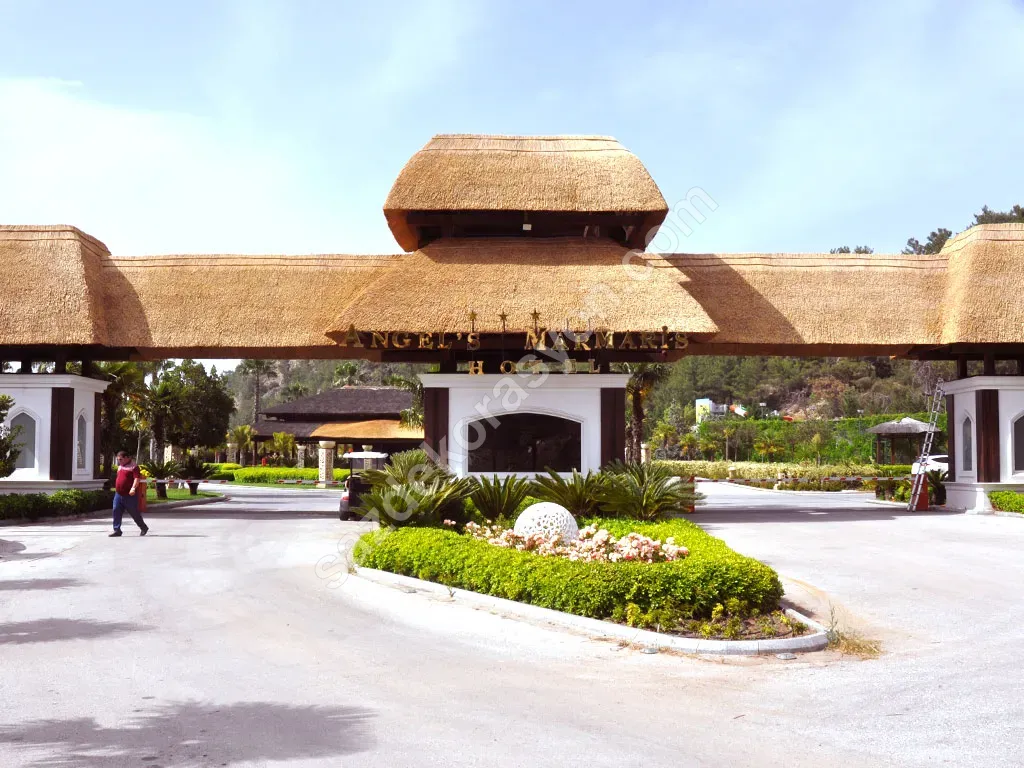 Kamış