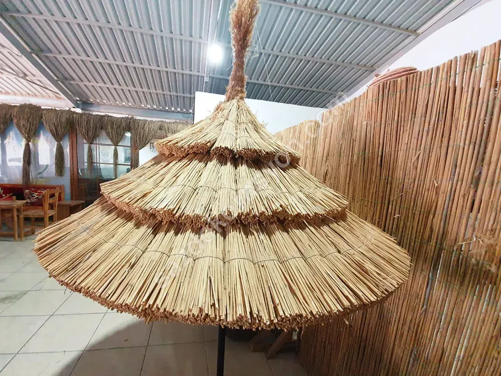 Bambu