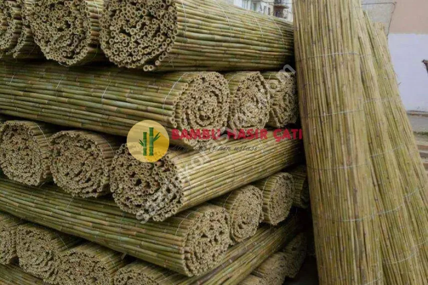 Bambu Bambu