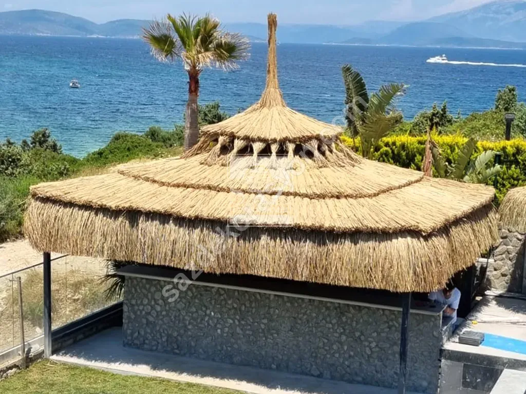 Bambu
